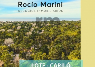 Lote en venta en el corazon de Carilo 